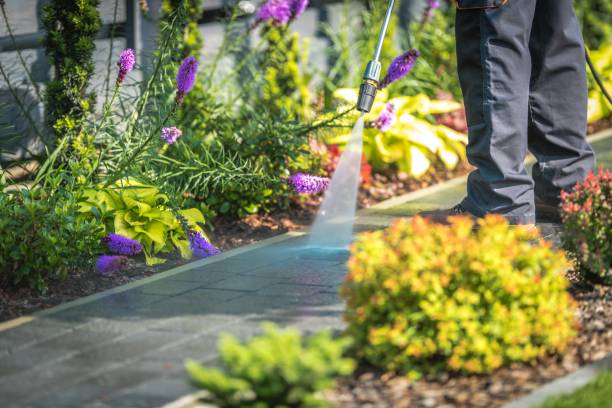 Trusted Manvel, TX Pressure Washing Services Experts