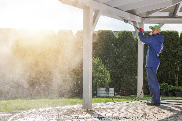 Best House Exterior Washing  in Manvel, TX